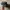 Vintage young an henzee service rope hat black photo 2