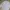 Women’s white kebaya Kartini Jumbo Size photo 1
