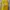 Casual T-shirt Pria yellow photo 2