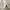 Pendleton sherpa wool blanked outer photo 10