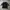 DJ FREE TRIBAL DESIGN POEM REGLAN CAMO LONGSLEEVE photo 5