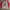 B&g Long sleeve art skull t-shirt photo 1