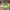 Nike Ja Morant 1 Nrg EP Halloween Lime Blast Basketball photo 1