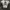 Crewneck Philipp plein rare y2k photo 1