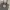 Fjällräven Casual Tote bag Wanita gray photo 3