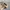 y2k Patrol Cap Fleur Distressed by Pitbull photo 5