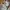 PYOPP - Baby Moccasins Featherlight - Nude photo 1