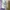 Trader Joe’s Lavender Canvas Tote Bag photo 4
