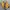 timberland yellow icon size 39 photo 3