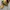 timberland yellow icon size 39 photo 1