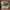 Shadowhunters the series photo 2