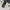 Nudie jeans Thin Finn Organic Dry Ecru Embo photo 7
