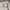 Nudie jeans Thin Finn Organic Dry Ecru Embo photo 8