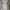 Women’s Whitehall Long Midi Dress 