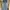 Celana Flare Jeans photo 7
