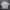 Covernat Casual Polo shirt Pria cream photo 1
