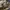 Vivienne Westwood Y2K Bags & purse Wanita multicolor photo 6