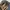Vivienne Westwood Y2K Bags & purse Wanita multicolor photo 5