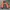 Tracksuit Pria orange photo 8