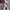 Vintage Polo Ralph Lauren Chief Keef Style Los Angeles Polos photo 10