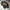 Crocs Women Bae Clog photo 4