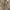 vintage lather jacket suede biker kerah shanghai photo 4