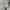 Massimo Dutti Luxury Casual Windbreaker Pria cream photo 3