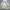 Massimo Dutti Luxury Casual Windbreaker Pria cream photo 8