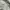 Massimo Dutti Luxury Casual Windbreaker Pria cream photo 7