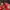 Manchester United Home Shirt/Jersey 2014 - 2015 ORIGINAL  photo 3