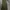 Casual Baju muslim Wanita green photo 4