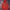 Pancoat Streetwear Sportswear Hoody Pria red photo 1