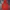 Pancoat Streetwear Sportswear Hoody Pria Red