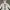Vintage Polo Ralph Lauren Aistralia Track & Field Jacket photo 8