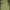 Casual Casual dress Wanita green photo 1