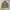 Rare Archive Y2k Grunge emo Zara Tactical Military Studded  photo 1
