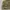 Rare Archive Y2k Grunge emo Zara Tactical Military Studded  photo 5