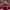 AS Roma Home Shirt/Jersey 2013 - 2014 photo 3