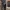 [ CARPENTER JEANS BLACK ]