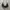 Y2k Grunge Emo Vkei Style Antique Black Beaded Necklace photo 1