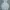 Topten Vintage Sportswear Windbreaker Pria white blue photo 1