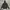 Hoodie Carhartt Spell Out photo 1
