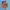 Kaos Dragon Ball Z Son Goku photo 4