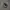 Nike Air Force 1 Black Ambush photo 1