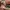 Guess vintage Y2k croco pink good condi photo 5