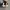 Converse 70s Low CDG Black White photo 5