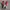Converse Low Motif Red photo 4