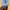 Vtg blank russel bby blue  photo 4