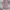 Celana Baggy Dusty Pink Loose Jeans Gombrong ALIKE photo 2