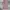 Celana Baggy Dusty Pink Loose Jeans Gombrong ALIKE photo 1